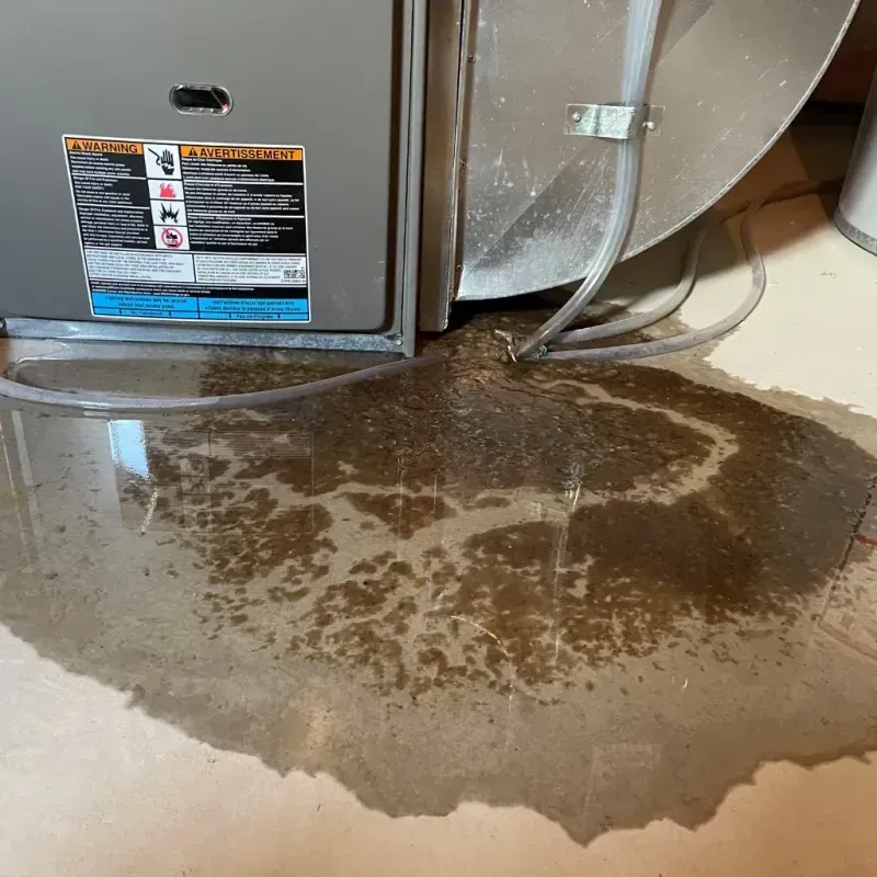 Appliance Leak Cleanup in West Palm Beach, FL